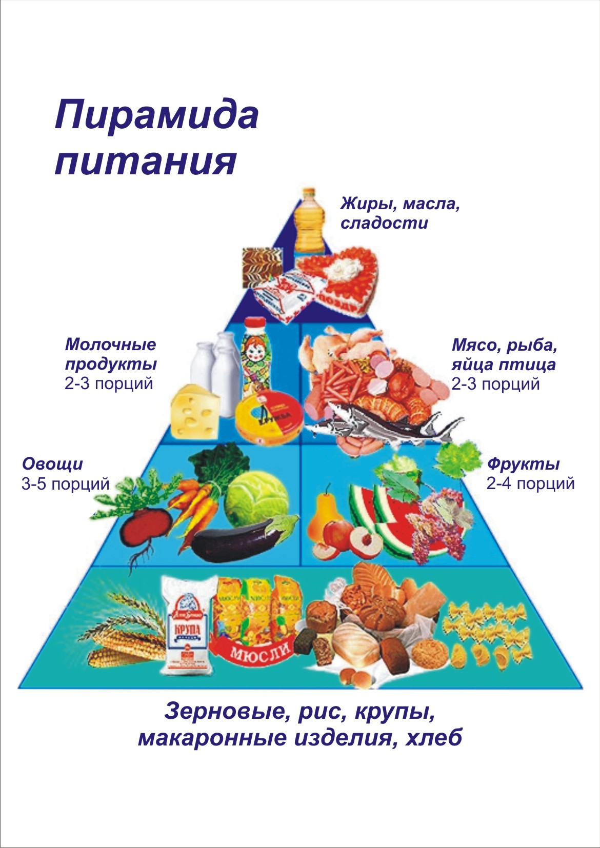 Пирамида питания